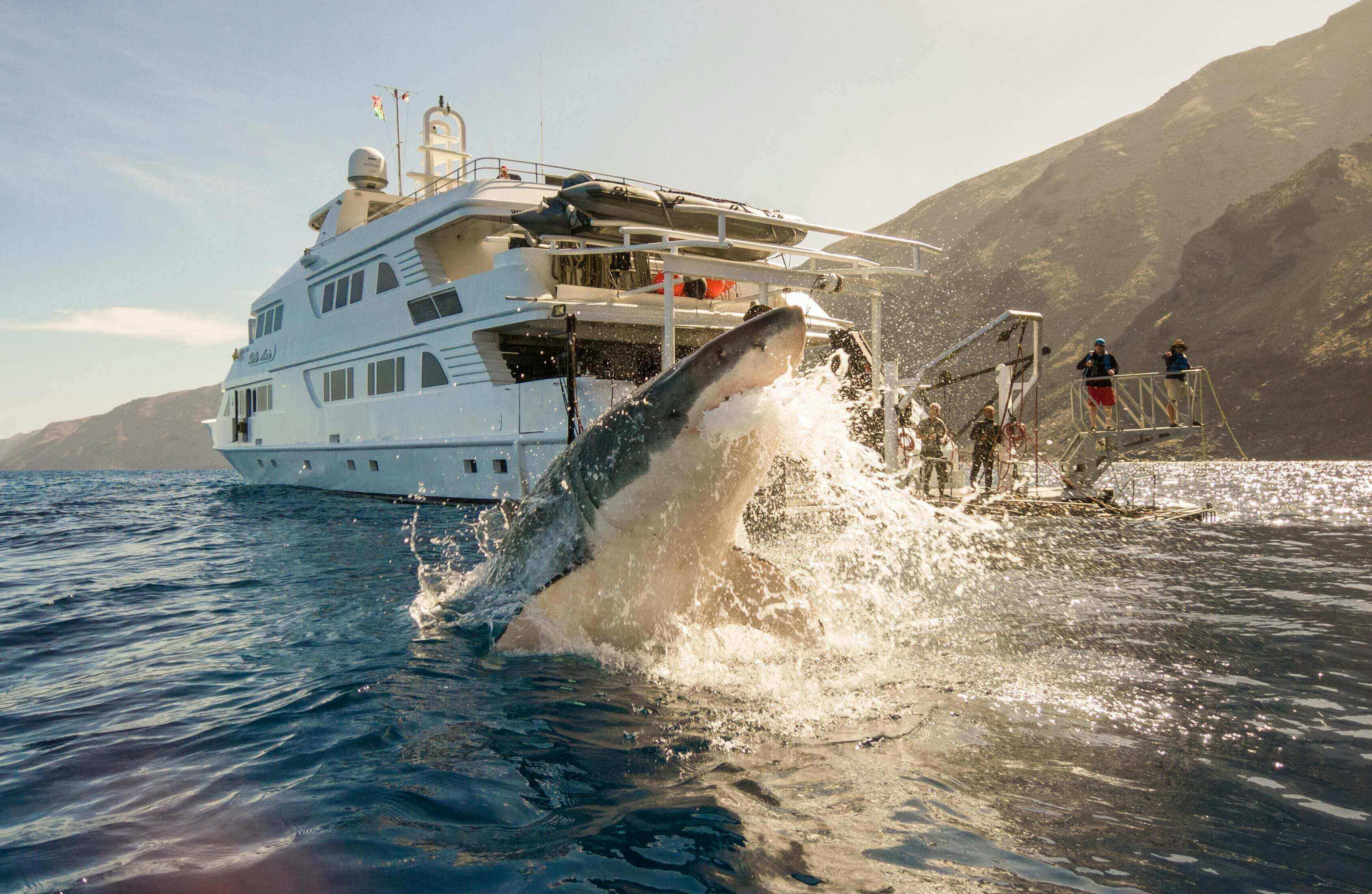 A boat with people on it in the water.